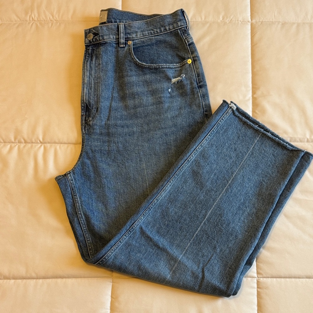 Everlane the Way-High Jean in Distressed - in excellent condition!